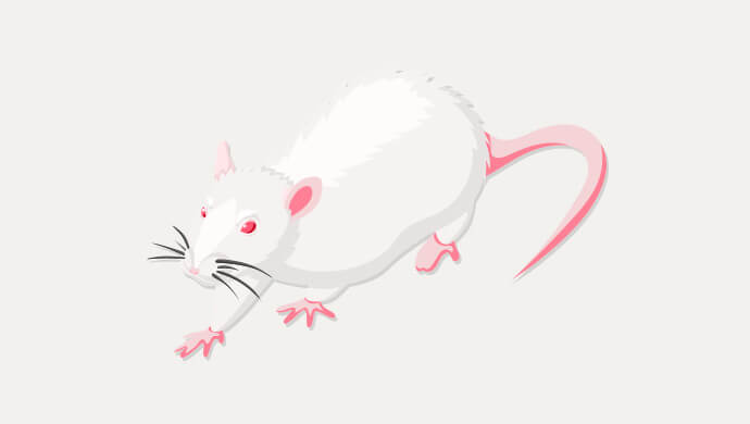 動物の検体輸送